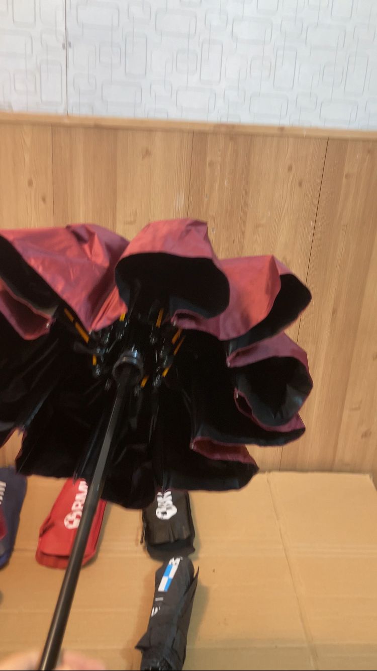BMW Travel Friendly Wind Resistant Folding Umbrella With Carrying Pouch