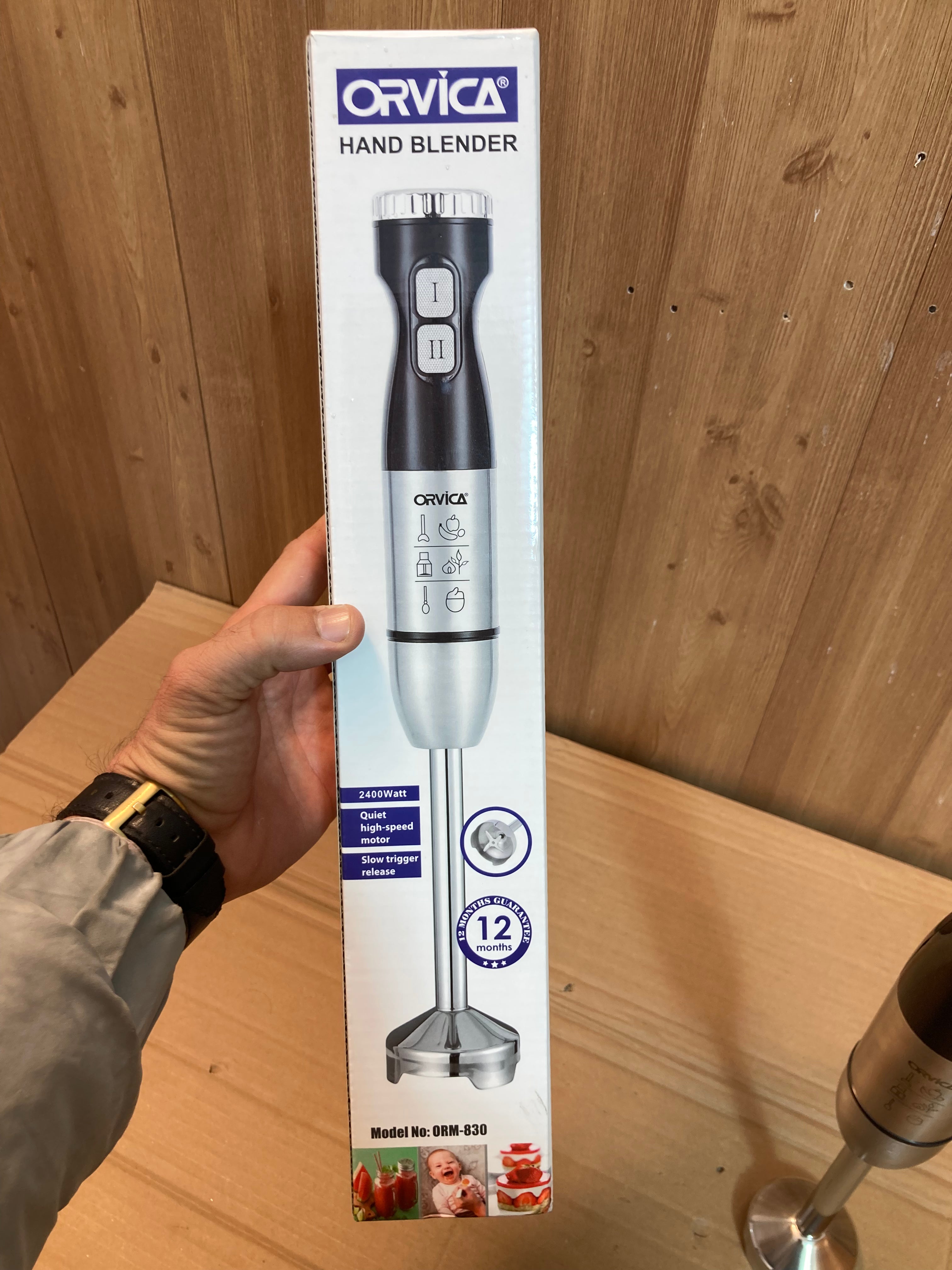 Orvica Russia 2400W Hand Blender ORM-830