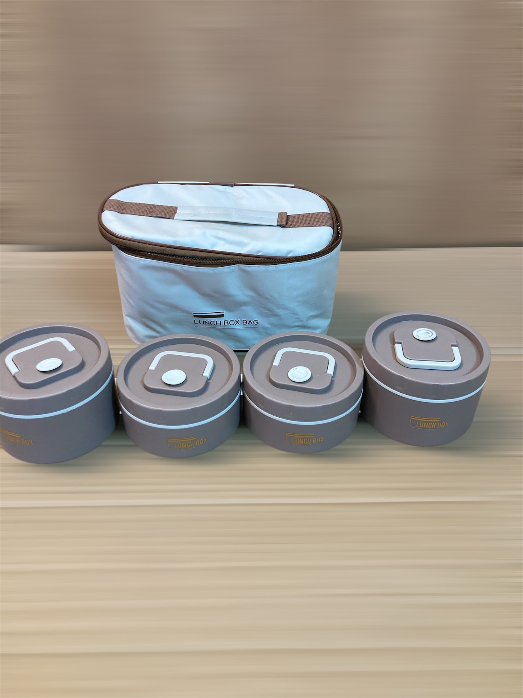 Thermal 4PCs Stainless Steel Lunch Box Set With Carrying Bag