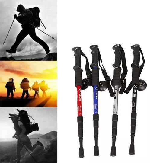 Hiking Stick 