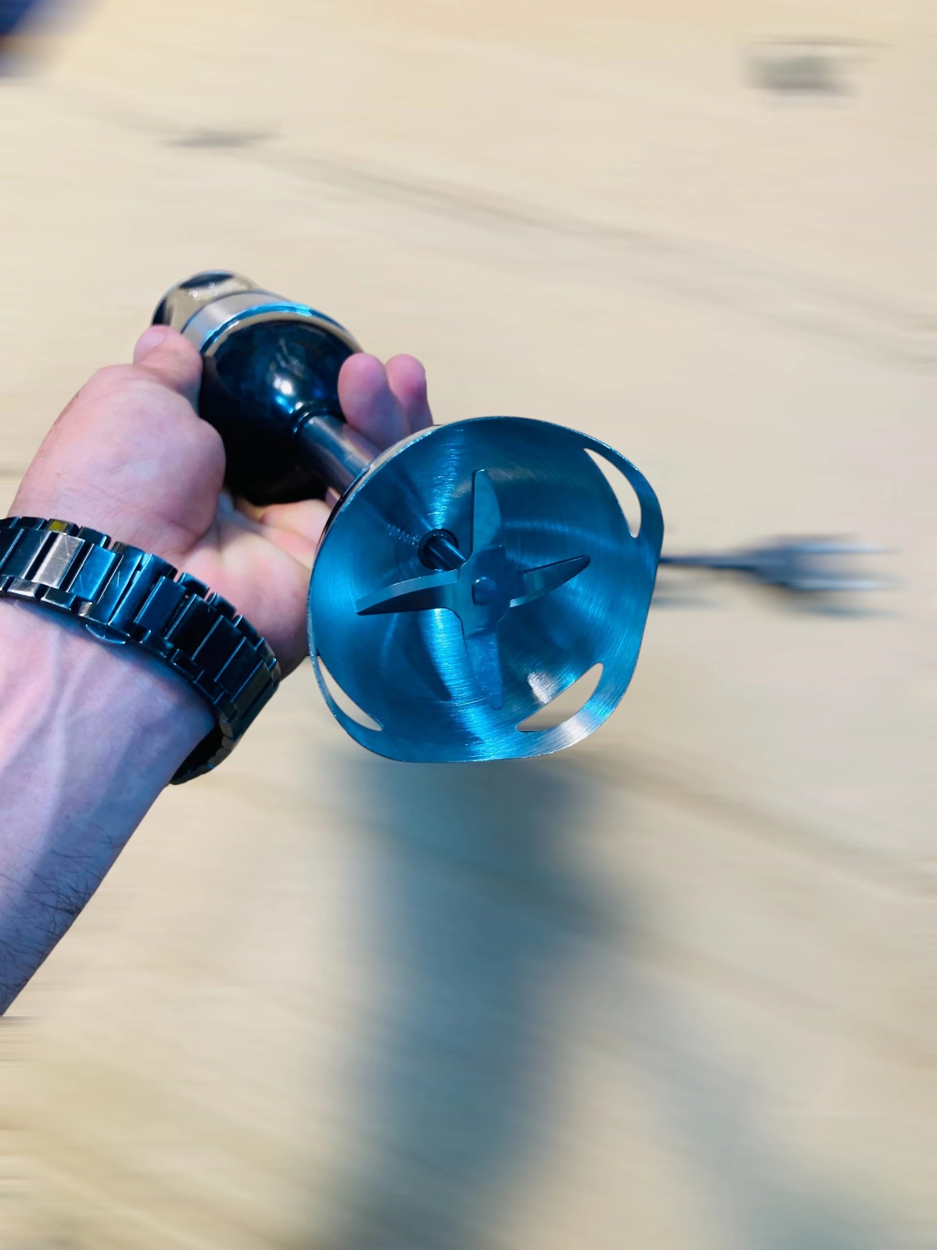 RAF Hand Blender 300W with 2 Speed Settings and Stainless Steel Shaft R.319